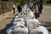 کشف  بیش از 2.5 تن مواد مخدر توسط پلیس فارس