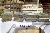 کشف  بیش از 2.5 تن مواد مخدر توسط پلیس فارس