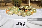 کشف  بیش از 2.5 تن مواد مخدر توسط پلیس فارس