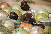 کشف  بیش از 2.5 تن مواد مخدر توسط پلیس فارس