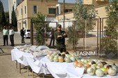 کشف  بیش از 2.5 تن مواد مخدر توسط پلیس فارس