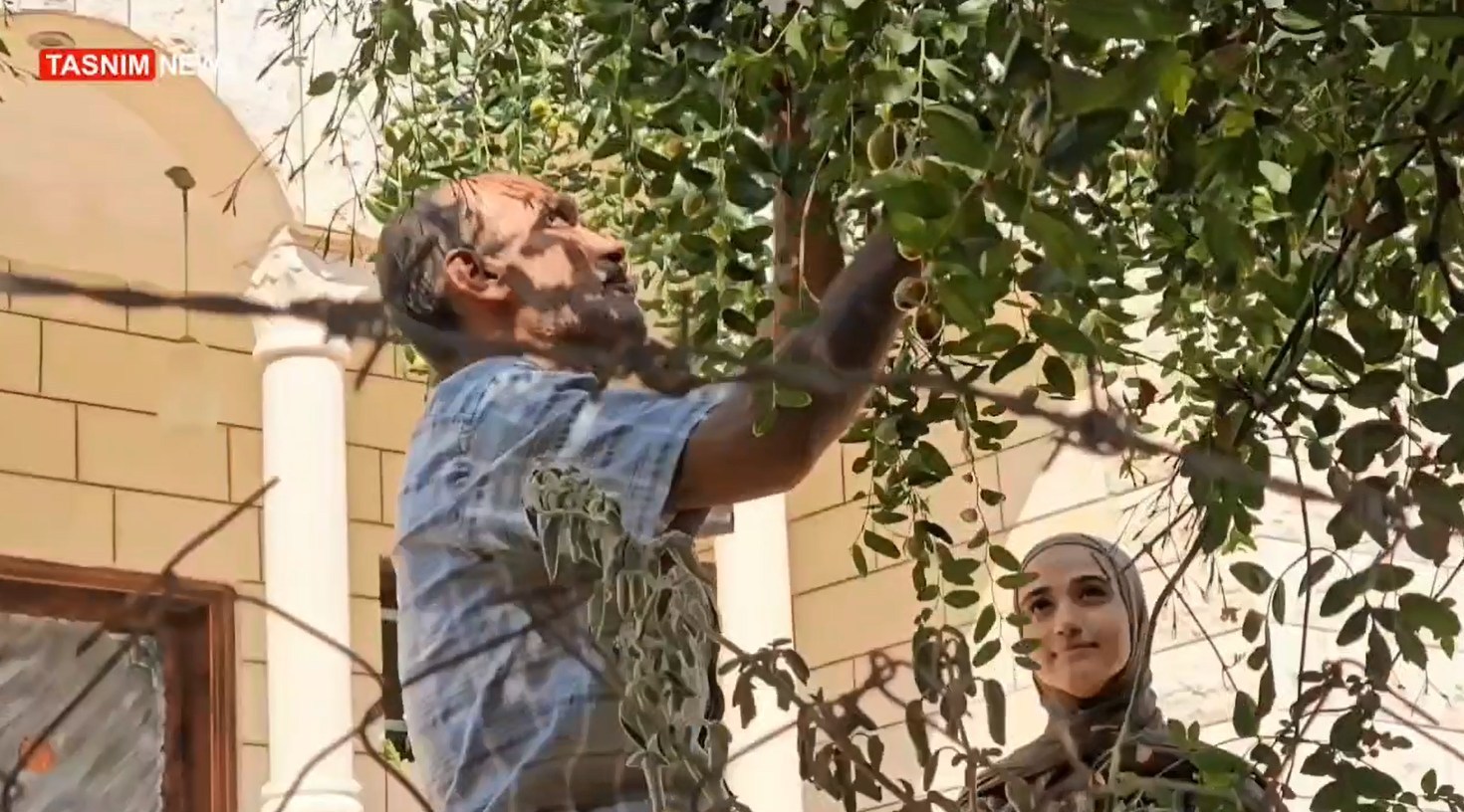 کشور فلسطین , اسرای فلسطینی , فلسطین , رژیم صهیونیستی (اسرائیل) , ایتامار بن گویر , کرانه باختری ,