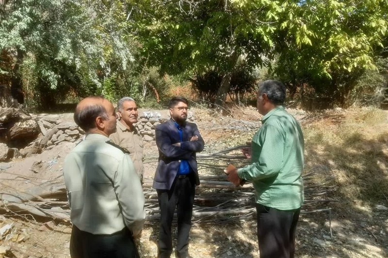 اخبار استان خراسان جنوبی , خبرگزاری تسنیم , قوه قضائیه ,