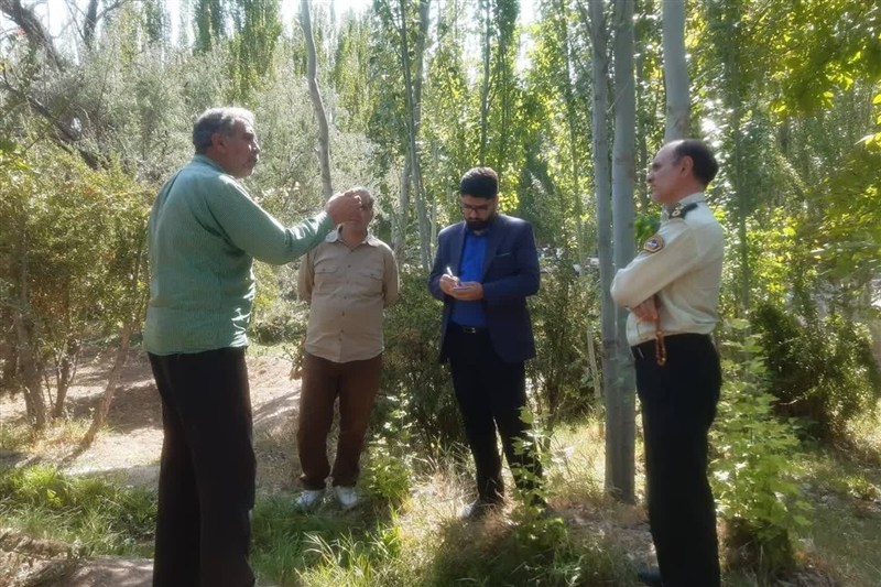 اخبار استان خراسان جنوبی , خبرگزاری تسنیم , قوه قضائیه ,