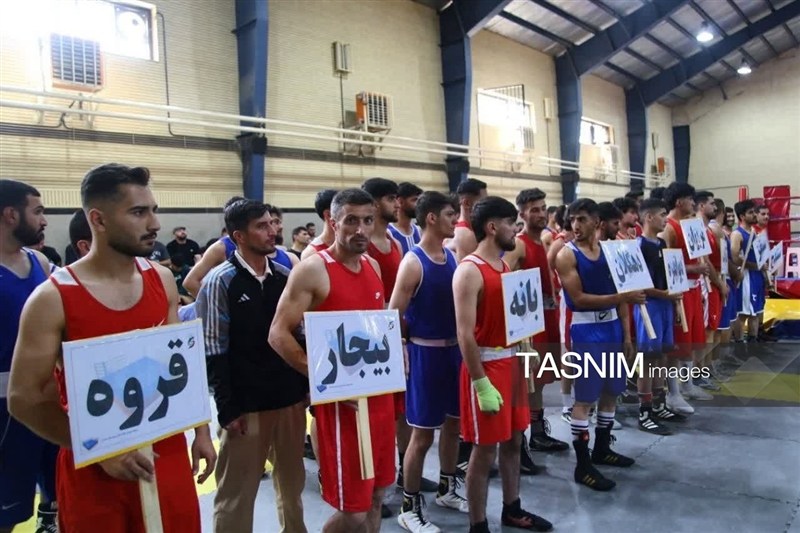 اخبار سنندج , اخبار استان کردستان , بوکس ,