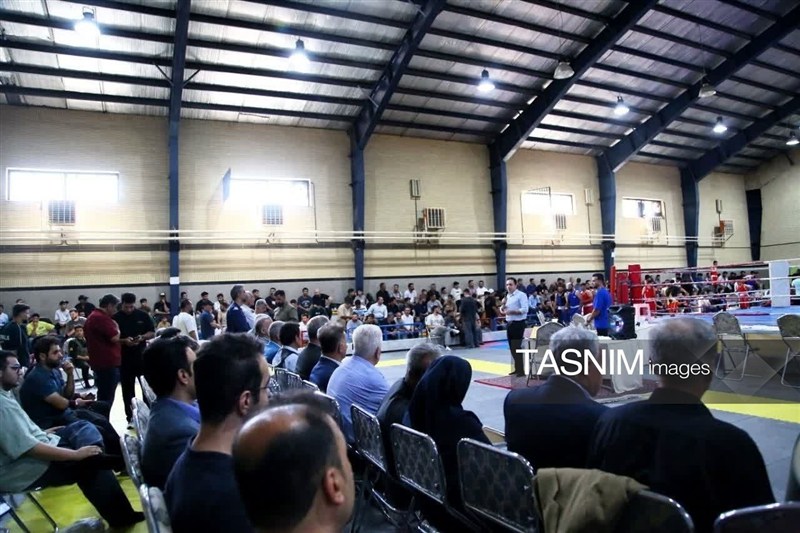 اخبار سنندج , اخبار استان کردستان , بوکس ,