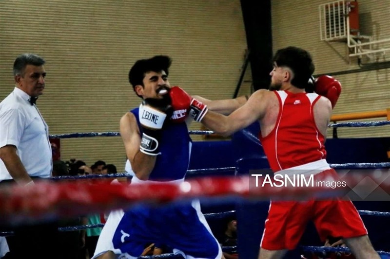 اخبار سنندج , اخبار استان کردستان , بوکس ,