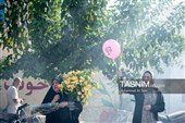 آیین استقبال از ورود کاروان نمادین حضرت معصومه (س) به قم