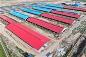 بحران در صنعتِ شرق؛وقتی مسکن‌های استانی، حریف دردِ ملی نمی‌شوند