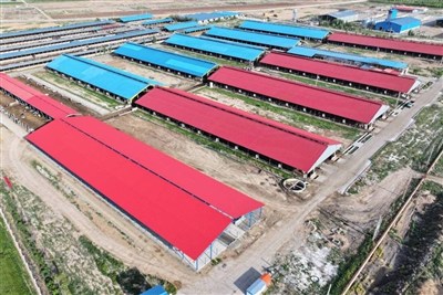 بحران در صنعتِ شرق؛وقتی مسکن‌های استانی، حریف دردِ ملی نمی‌شوند