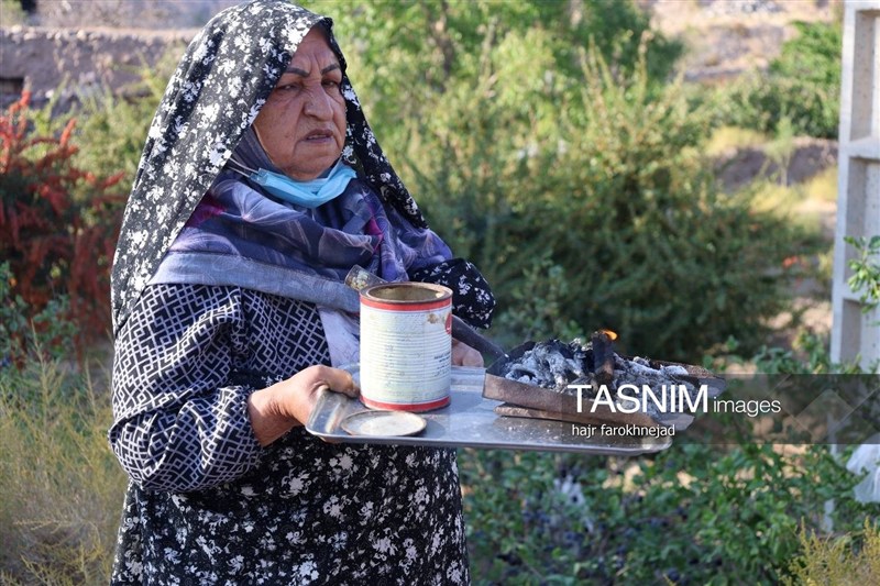اخبار استان خراسان جنوبی , خبرگزاری تسنیم ,