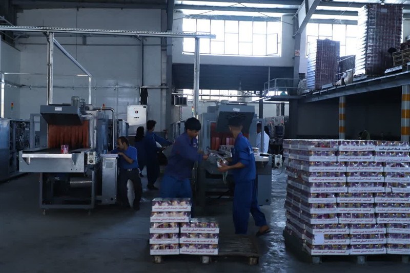 وزارت صمت , خراسان رضوی , اخبار استان خراسان رضوی , مشهد مقدس , اخبار مشهد , صنایع معدنی , کارخانه , 