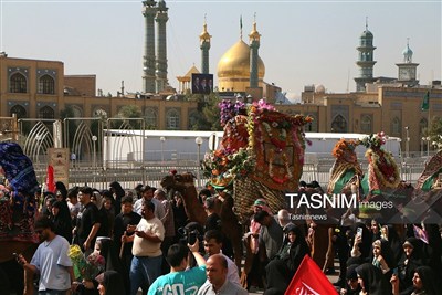 کجاوه‌ای از نور در سیل خروشان مردم مشتاق قم