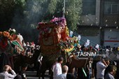 کجاوه‌ای از نور در سیل خروشان مردم مشتاق قم