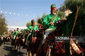 کجاوه‌ای از نور در سیل خروشان مردم مشتاق قم