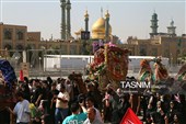 کجاوه‌ای از نور در سیل خروشان مردم مشتاق قم