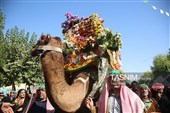 استقبال باشکوه مردم قم از کاروان نمادین حضرت معصومه(س)