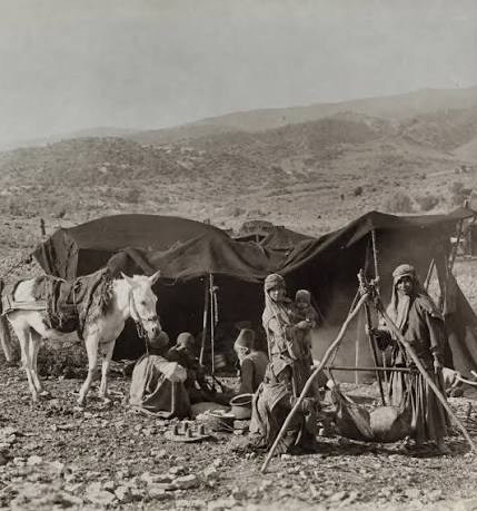 سینمای مستند , فیلم مستند , جشنواره بین‌المللی سینما حقیقت , 