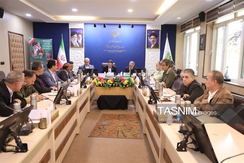 سازمان منابع طبیعی , جنگل , اخبار استان کهگیلویه و بویراحمد ,
