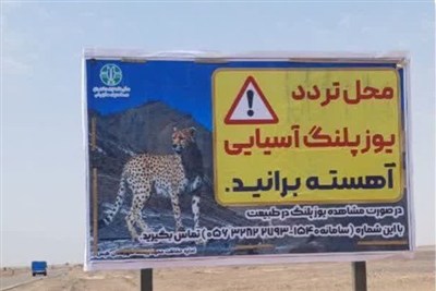 جاده‌های پرخطر یوزپلنگ در خراسان جنوبی علامت‌گذاری شد