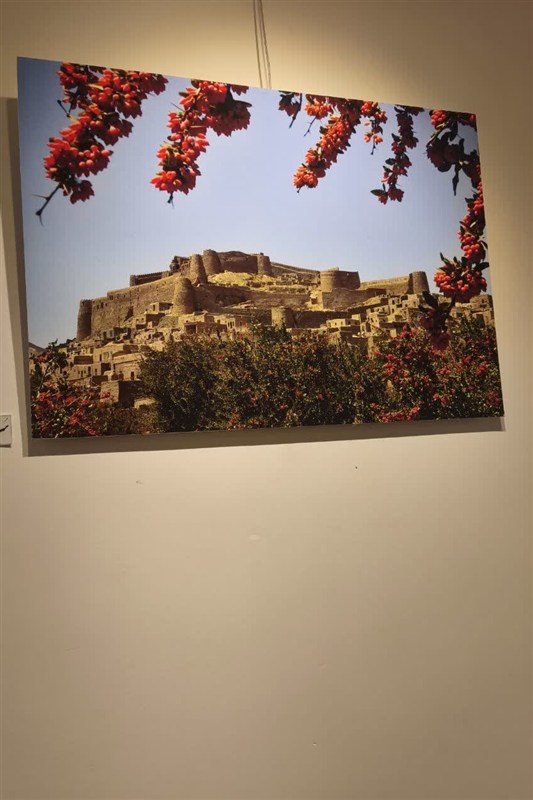 اخبار استان خراسان جنوبی , خبرگزاری تسنیم ,