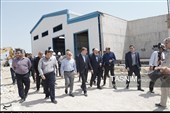 وزیر نیرو با هدف افتتاح و بازدید طرح‌های آب و برق، به استان بوشهر سفر کرد