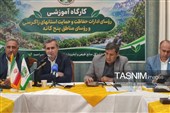 آتش‌سوزی جنگل‌ها و مراتع کشور 82 درصد کاهش یافت