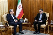 عراقجی یبحث مع ممثل إیران لدى منظمة التعاون الإسلامی التطورات وسبل مواجهة الاعتداءات الإسرائیلیة