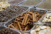 برپایی نمایشگاه پاییزه مدارس با 220 غرفه در بندرعباس