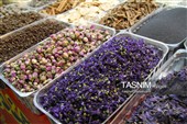 برپایی نمایشگاه پاییزه مدارس با 220 غرفه در بندرعباس