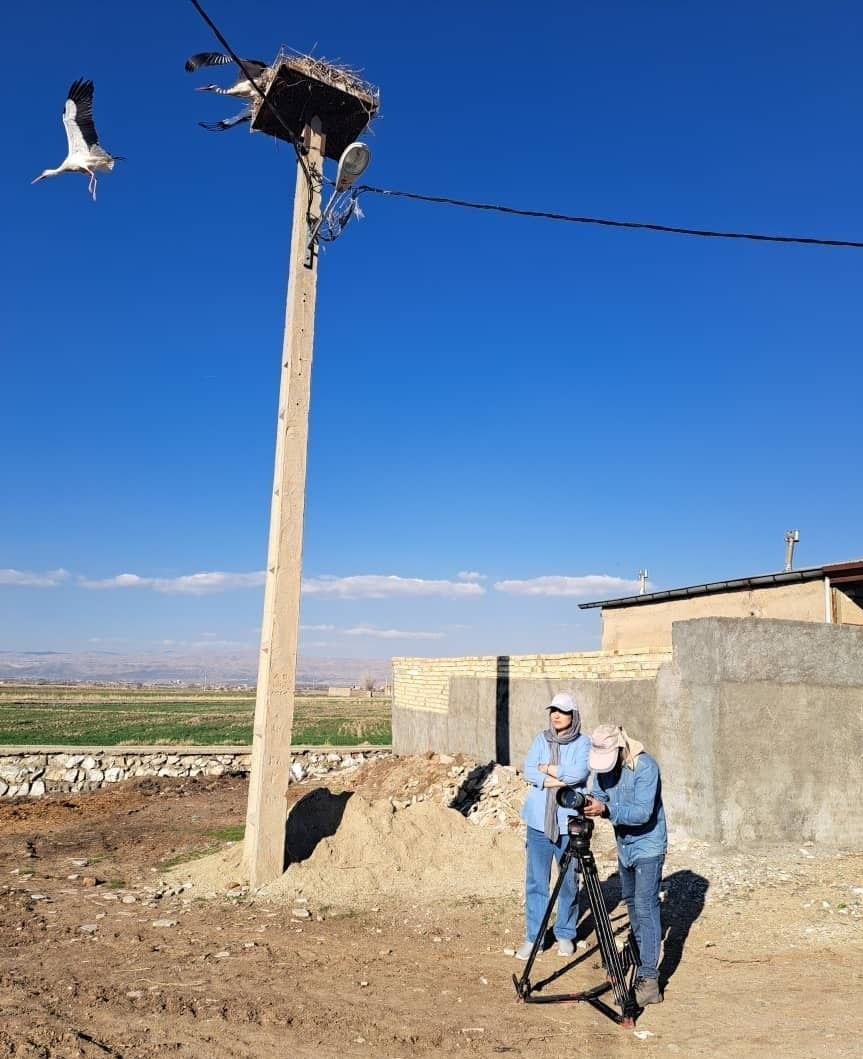 سینمای مستند , فیلم مستند , 
