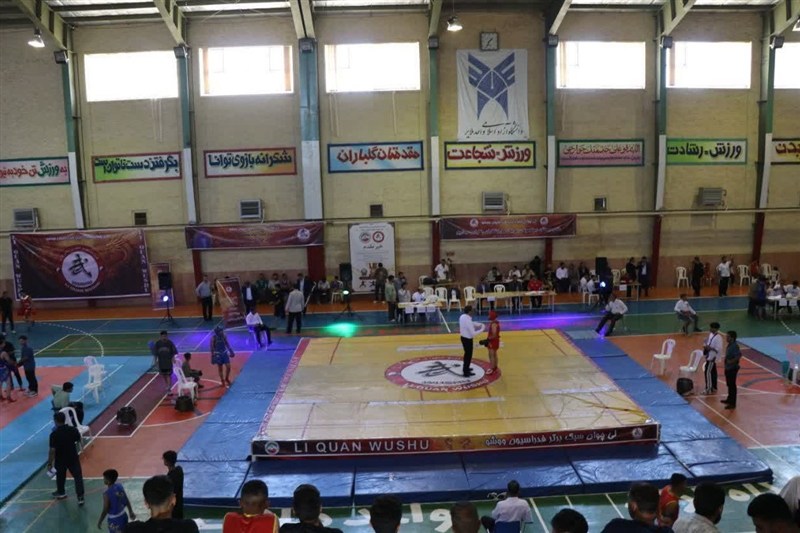 اخبار همدان , اخبار استان همدان , ووشو ,