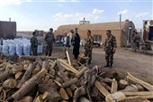 «هر دهیاری یک جنگلبان»؛نسخه مردمی برای حفاظت از اراضی ملی خراسان جنوبی