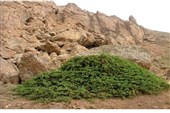 ثبت روز جهانی غار/ شناسنامه 40 غار در استان اردبیل تهیه شده است
