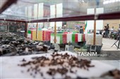 نشست خبری سخنگوی وزارت امور خارجه در لامرد