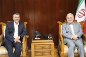 تأکید بر نقش مناطق آزاد در خنثی‌سازی آثار تحریم‌ها