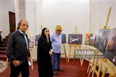 نشست مروری بر تاریخ عکس و پوستر در سینمای ایران