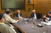 دیدار جمعی از علما و شخصیت‌های دینی هند با عراقچی