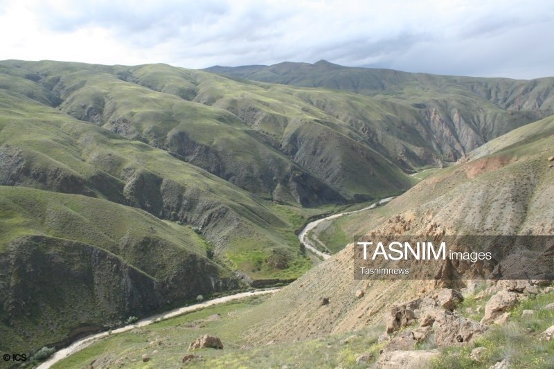 ناکامی شکارچیان در پناهگاه حیات‌وحش انگوران