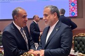 Встреча министров иностранных дел Ирана и Египта в Нью-Дели