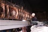 تعمیرات سالیانه کارخانه گندله‌سازی در منطقه سنگ آهن سنگان