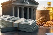 تسهیلات ارزی برای واردات کالای اساسی؛منابع بانک‌ها ازکجا تأمین می‌شود؟