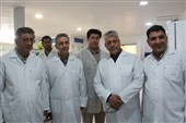 برنامه‌ریزی برای احداث 2 تا 3 مجتمع کشت و صنعت جدید در ایلام