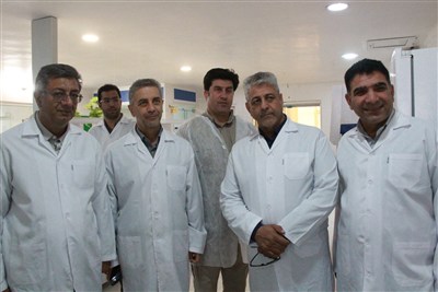 برنامه‌ریزی برای احداث 2 تا 3 مجتمع کشت و صنعت جدید در ایلام