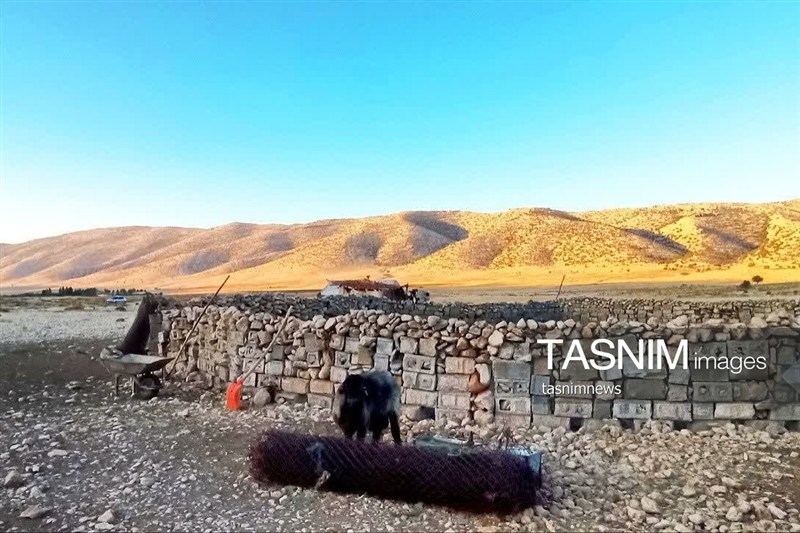 اخبار استان کهگیلویه و بویراحمد , مرکز آفرینش های ادبی حوزه هنری , 