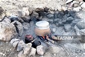 تپشِ حیات در رگ‌های زاگرس