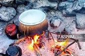 تپشِ حیات در رگ‌های زاگرس