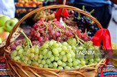 جشنواره انگور ابهر؛ گامی برای معرفی هویت زنجان در سطح بین‌المللی