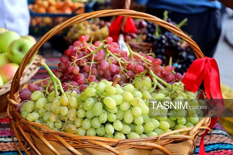 جشنواره انگور ابهر؛ گامی برای معرفی هویت زنجان در سطح بین‌المللی
