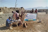 خدمات جهادی دامپزشکی به مناطق کم‌برخوردار مهرستان رسید